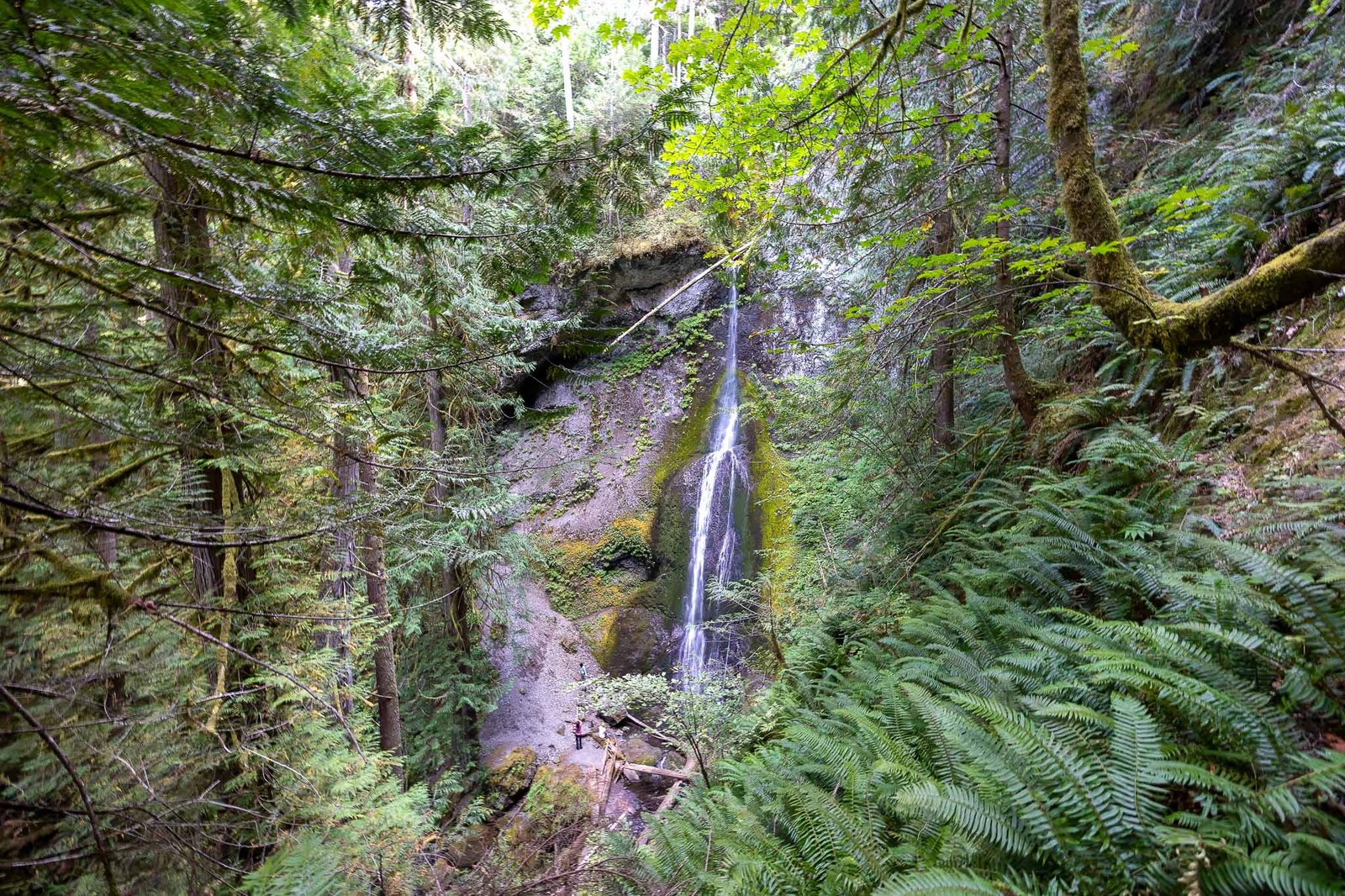 Marymere Falls Trail