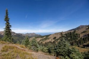Hurricane Ridge