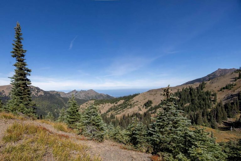 Hurricane Ridge
