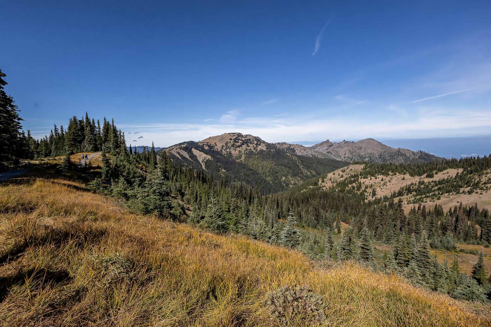Hurricane Ridge