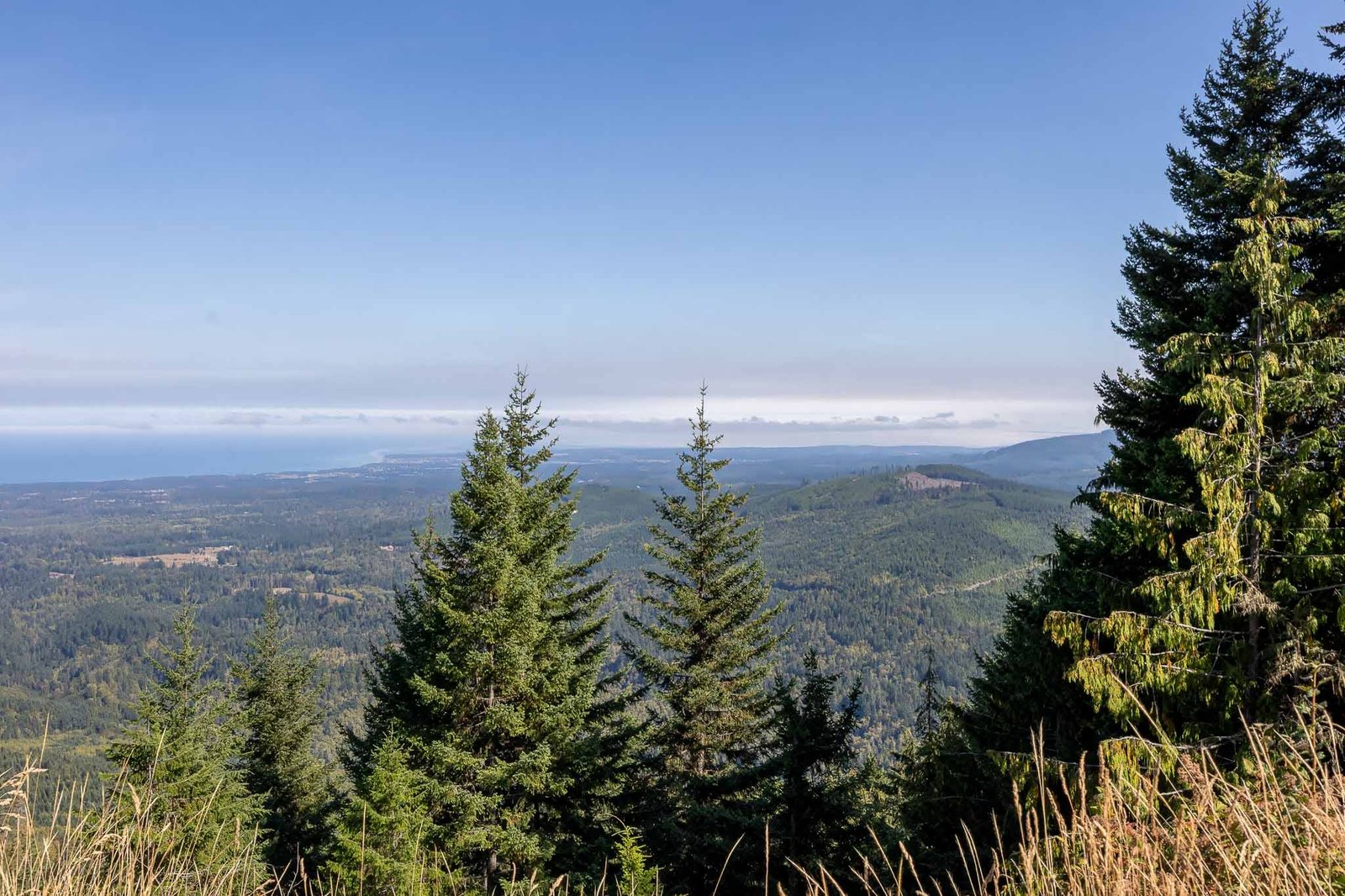 Hurricane Ridge