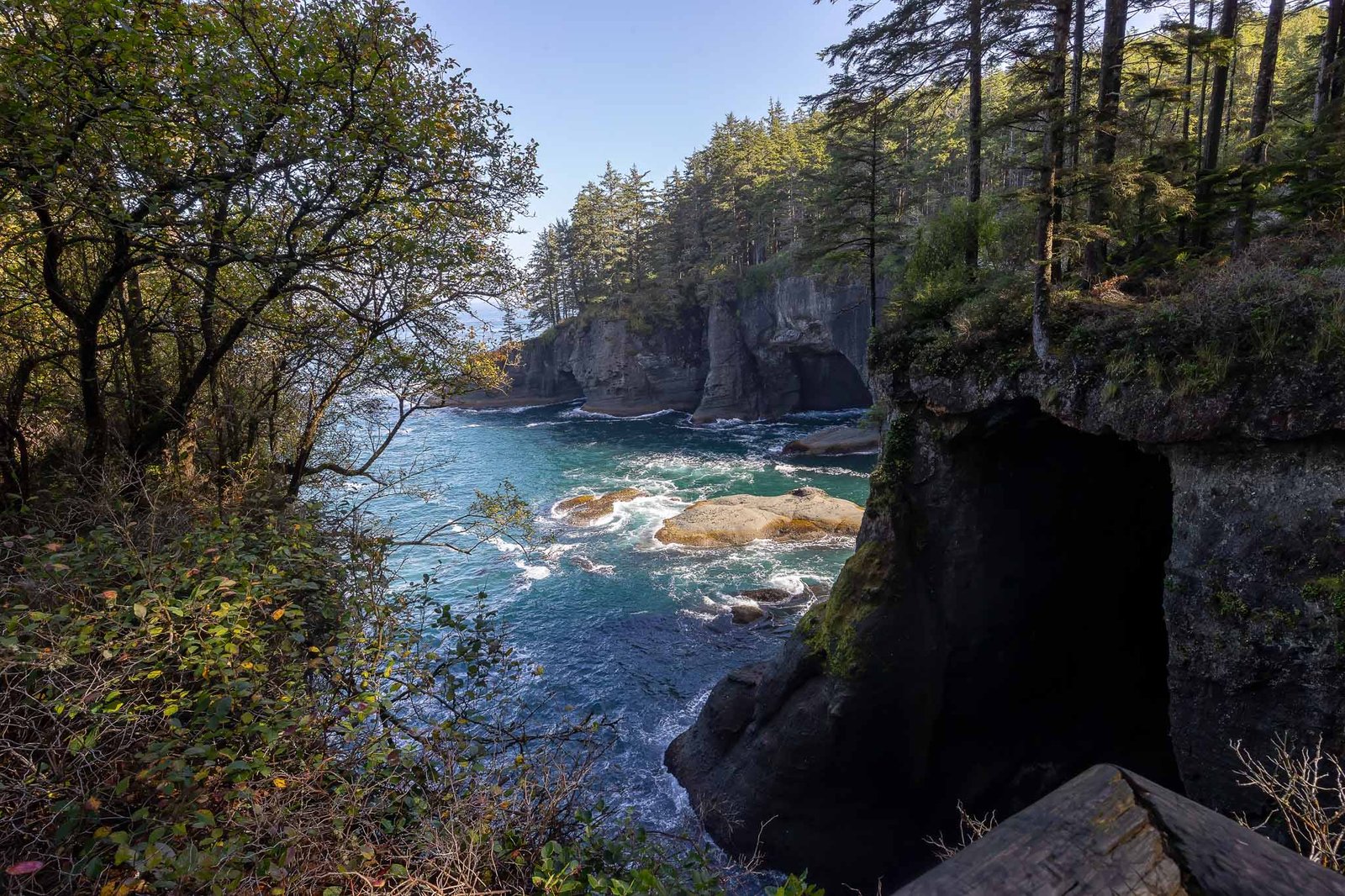 Views from Cape Flattery trail and lookout