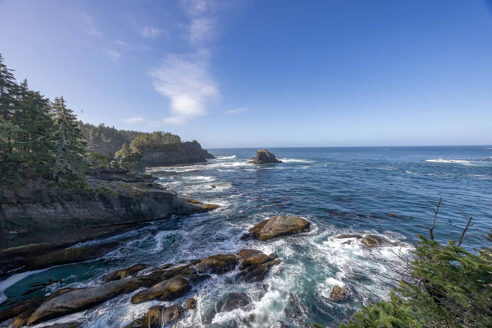 Views from Cape Flattery trail and lookout
