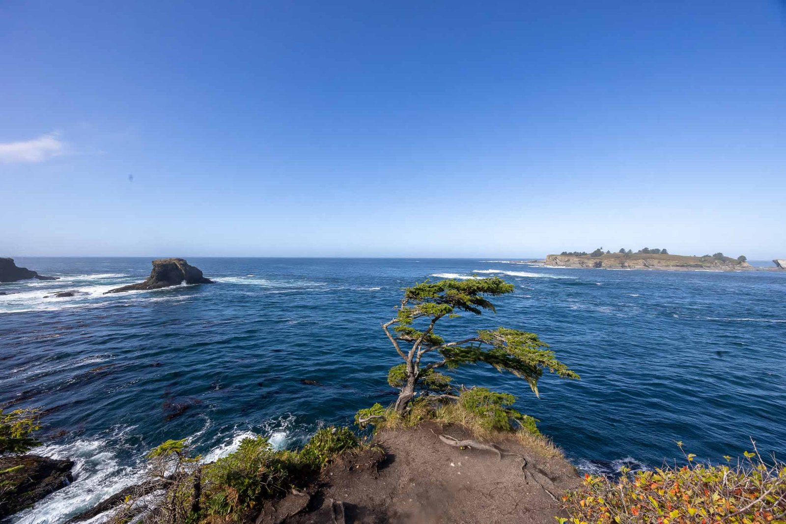 Views from Cape Flattery trail and lookout
