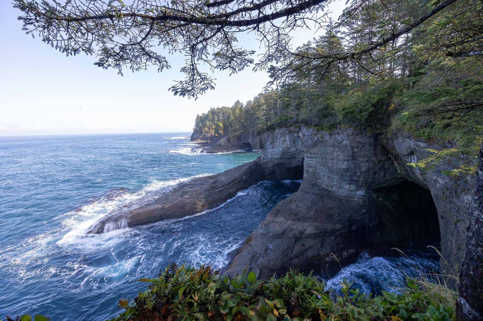 Views from Cape Flattery trail and lookout