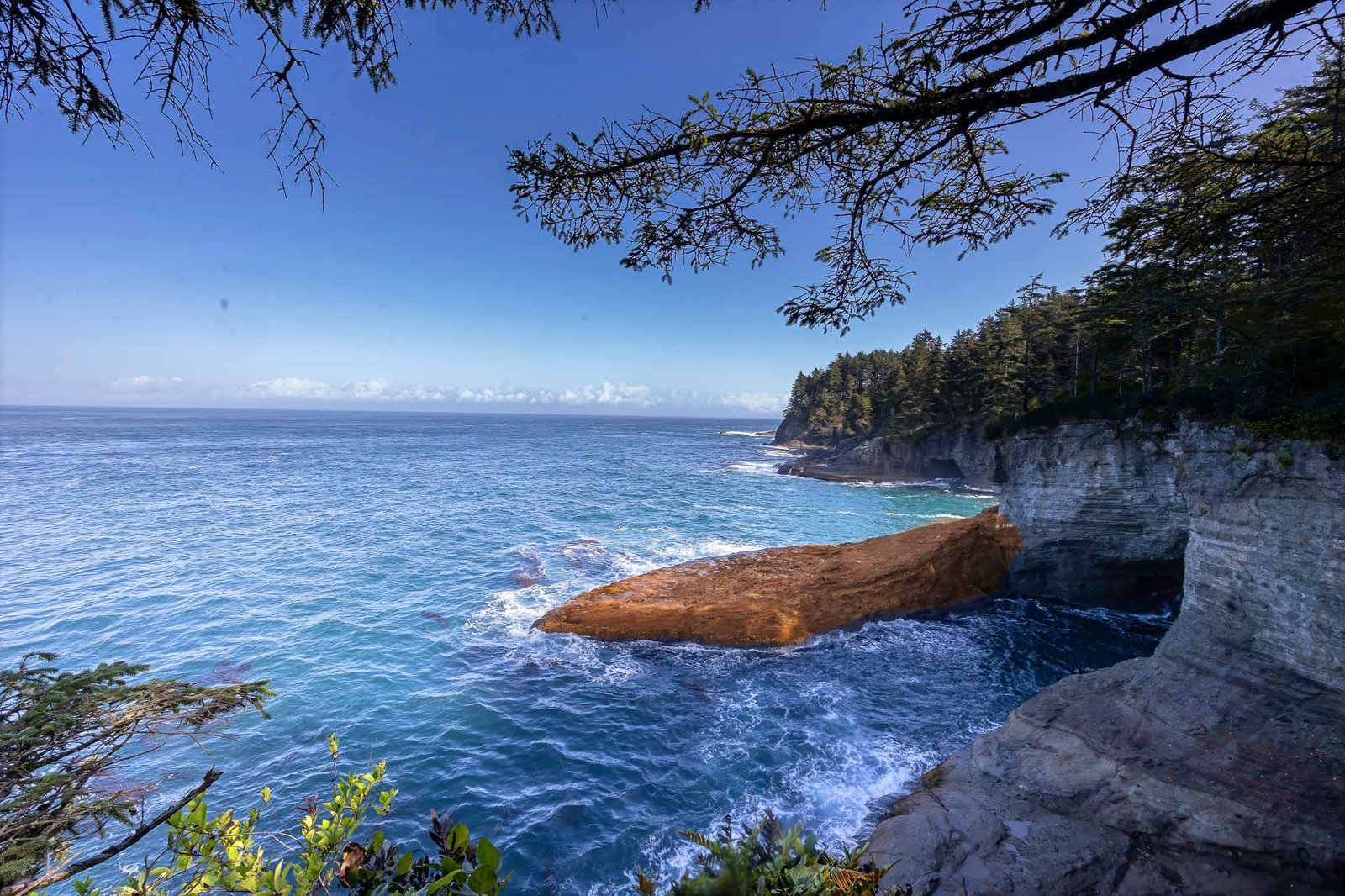 Views from Cape Flattery trail and lookout