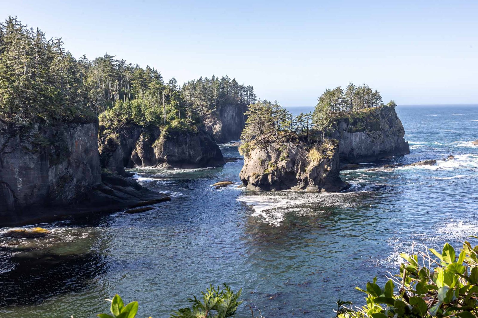 Views from Cape Flattery trail and lookout
