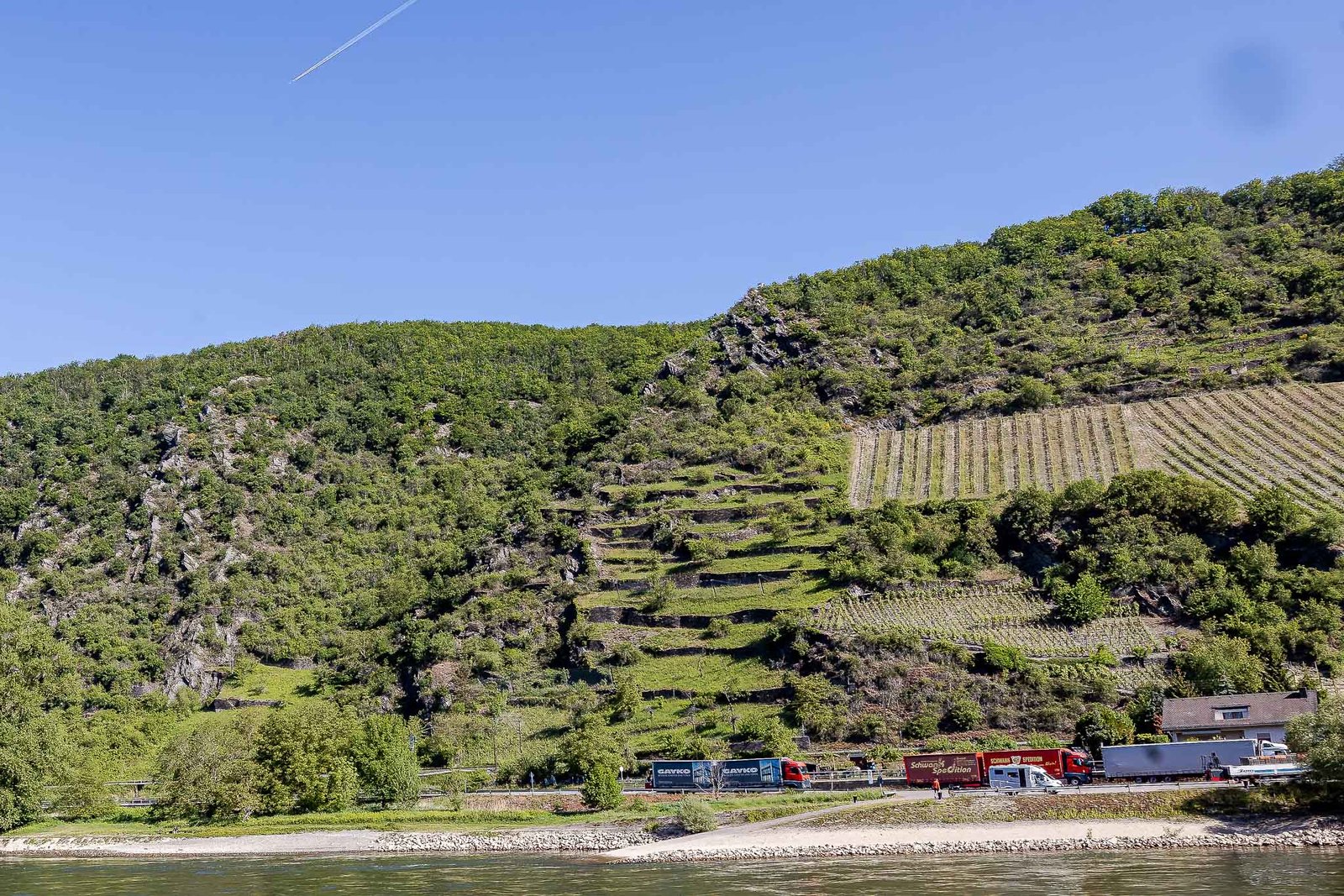 Vineyards and stepped farm fields