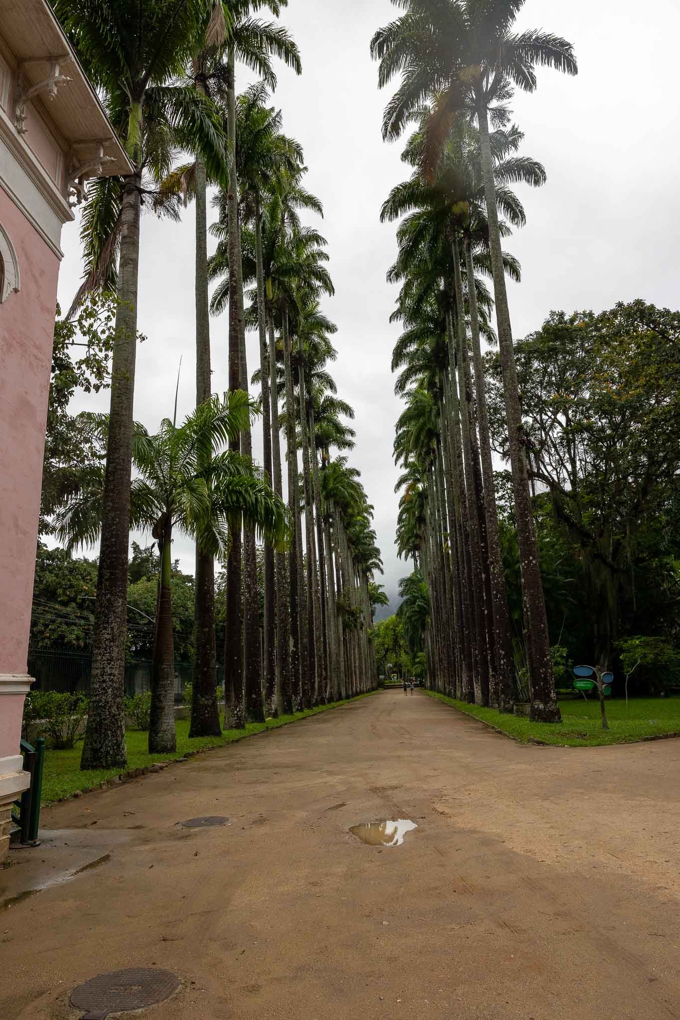 Views at the Botanical Gardens