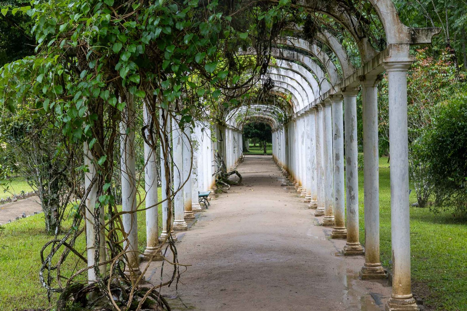 Views at the Botanical Gardens