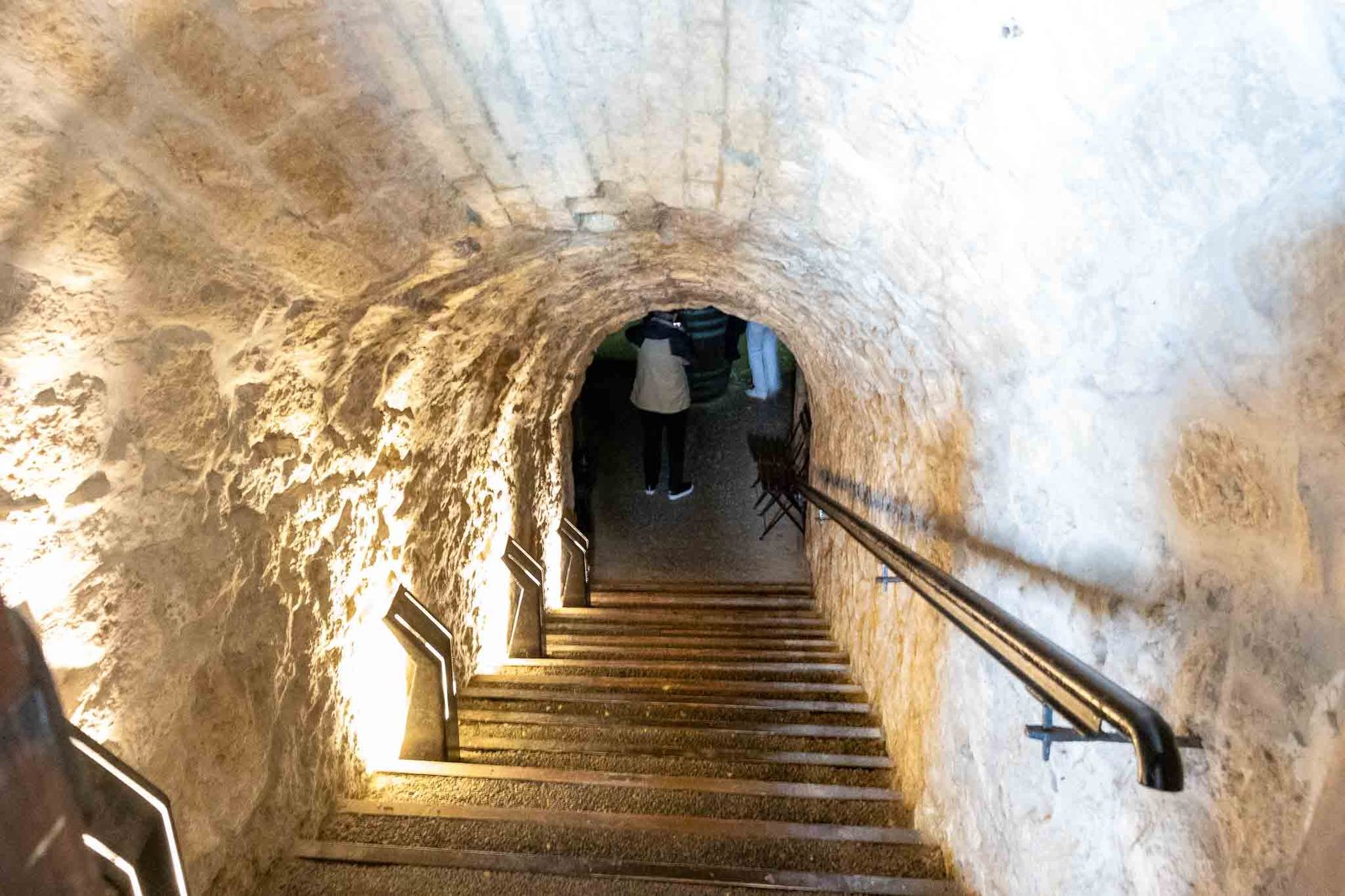 Wine cellar