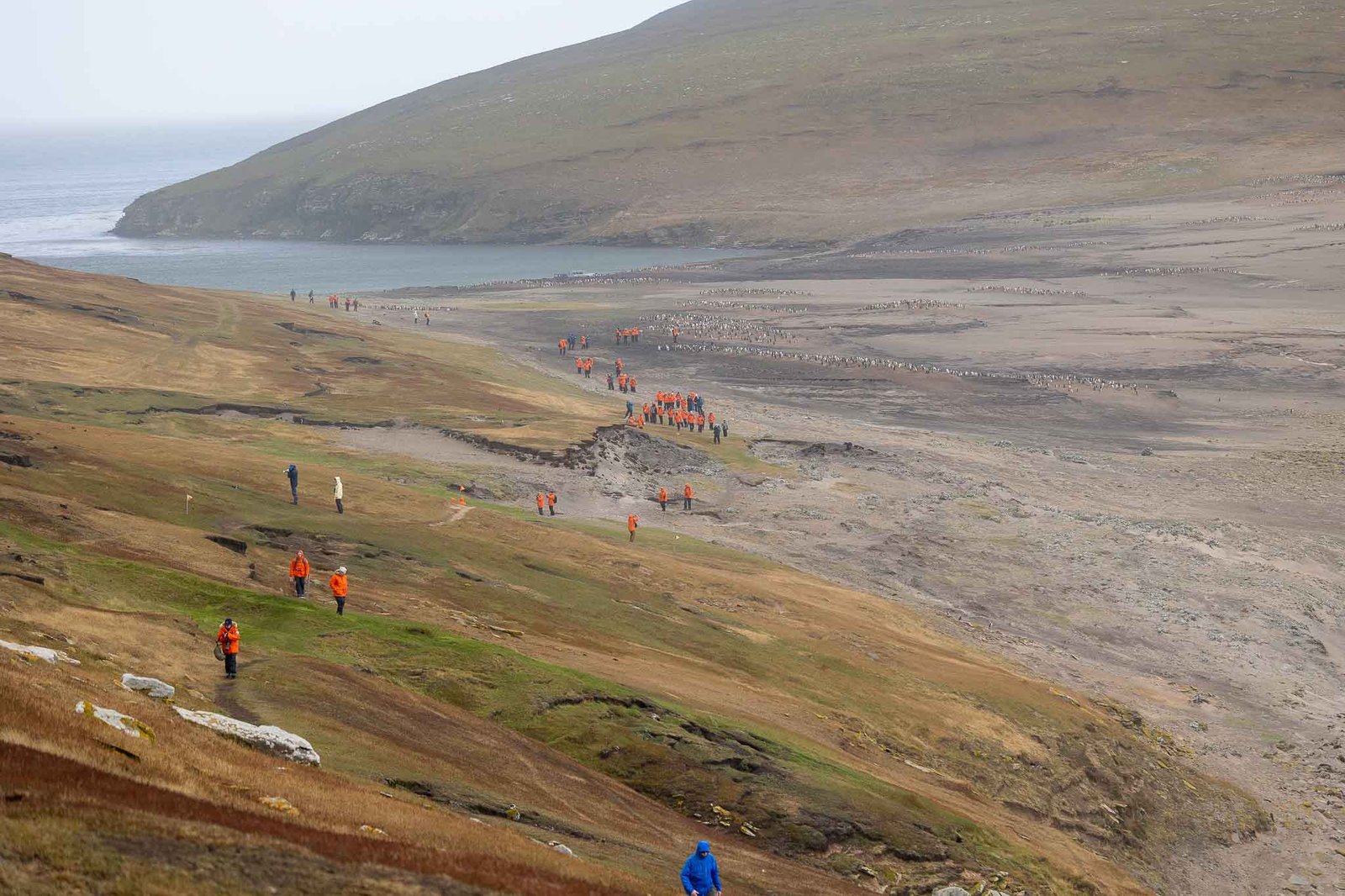 People hiking up towards us from the beach