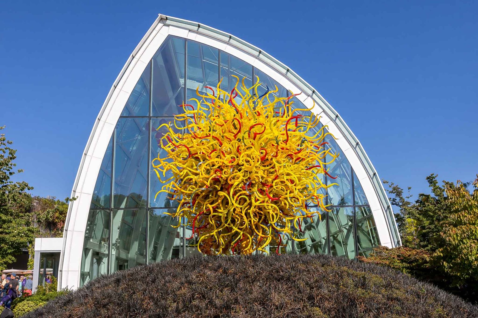 Glass Sculptures