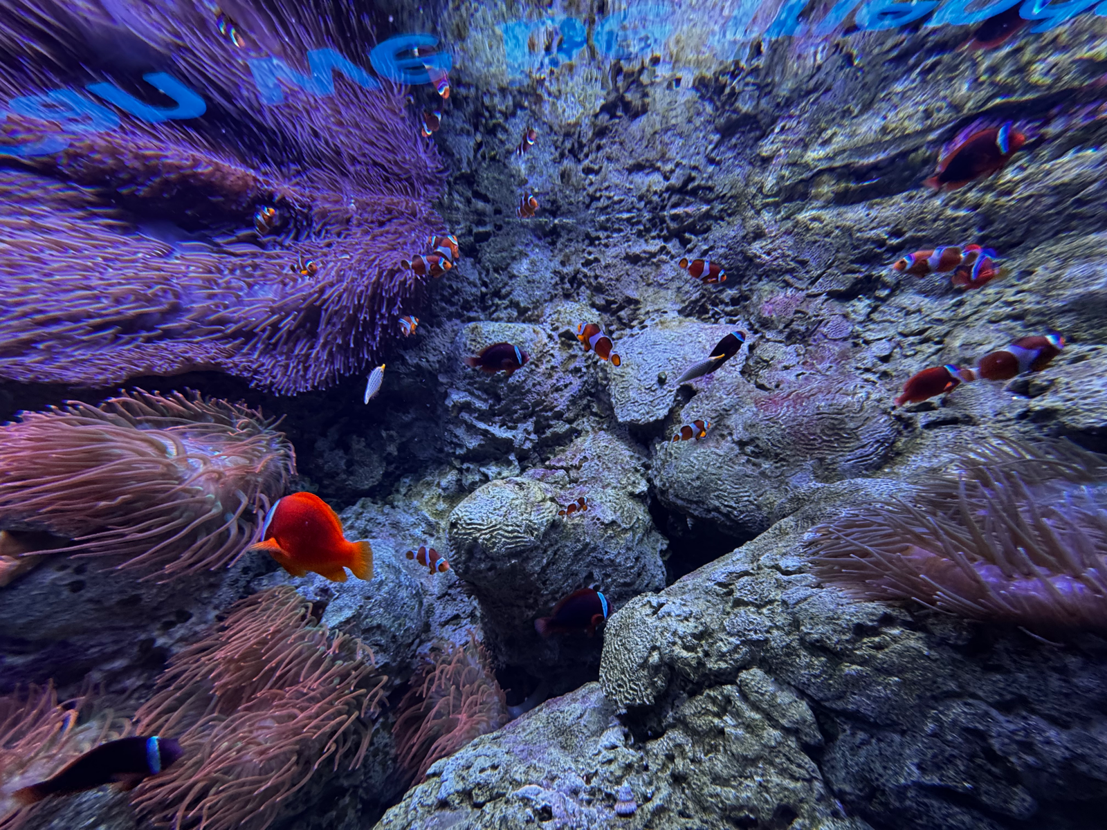 One of the tanks