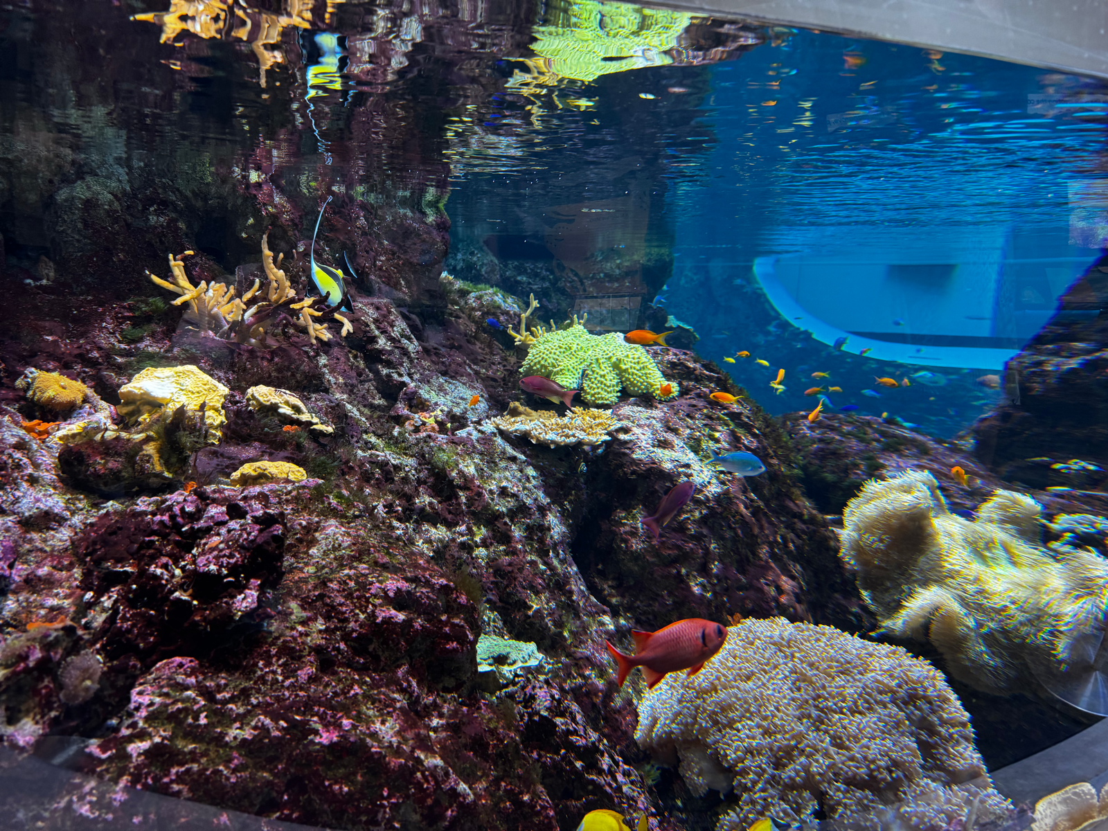 One of the tanks