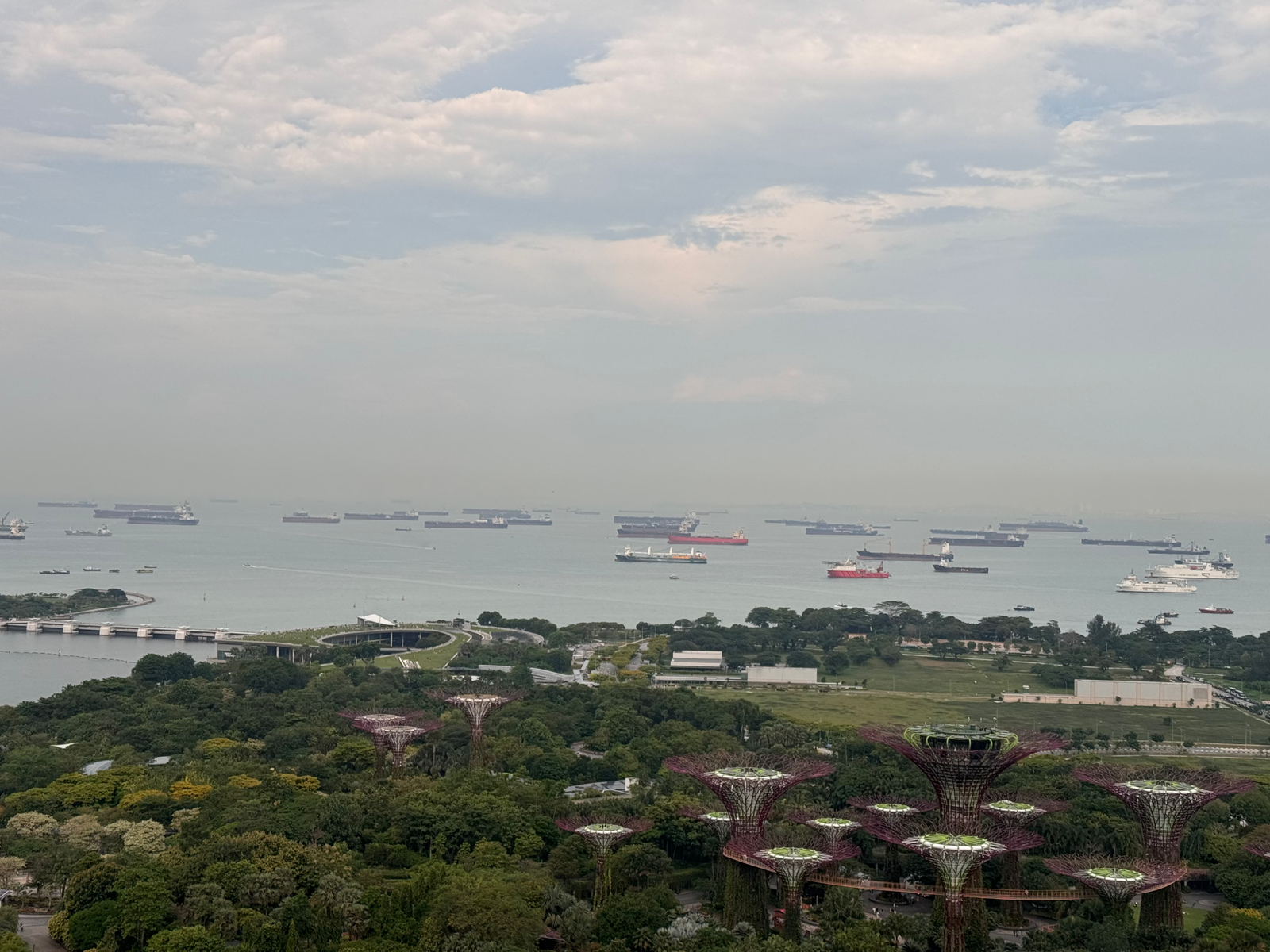 View of Gardens by the Bay from our room
