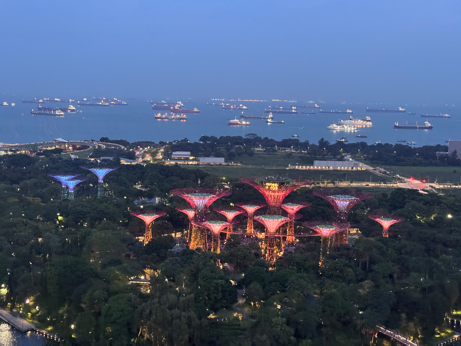 Gardens by the bay light show