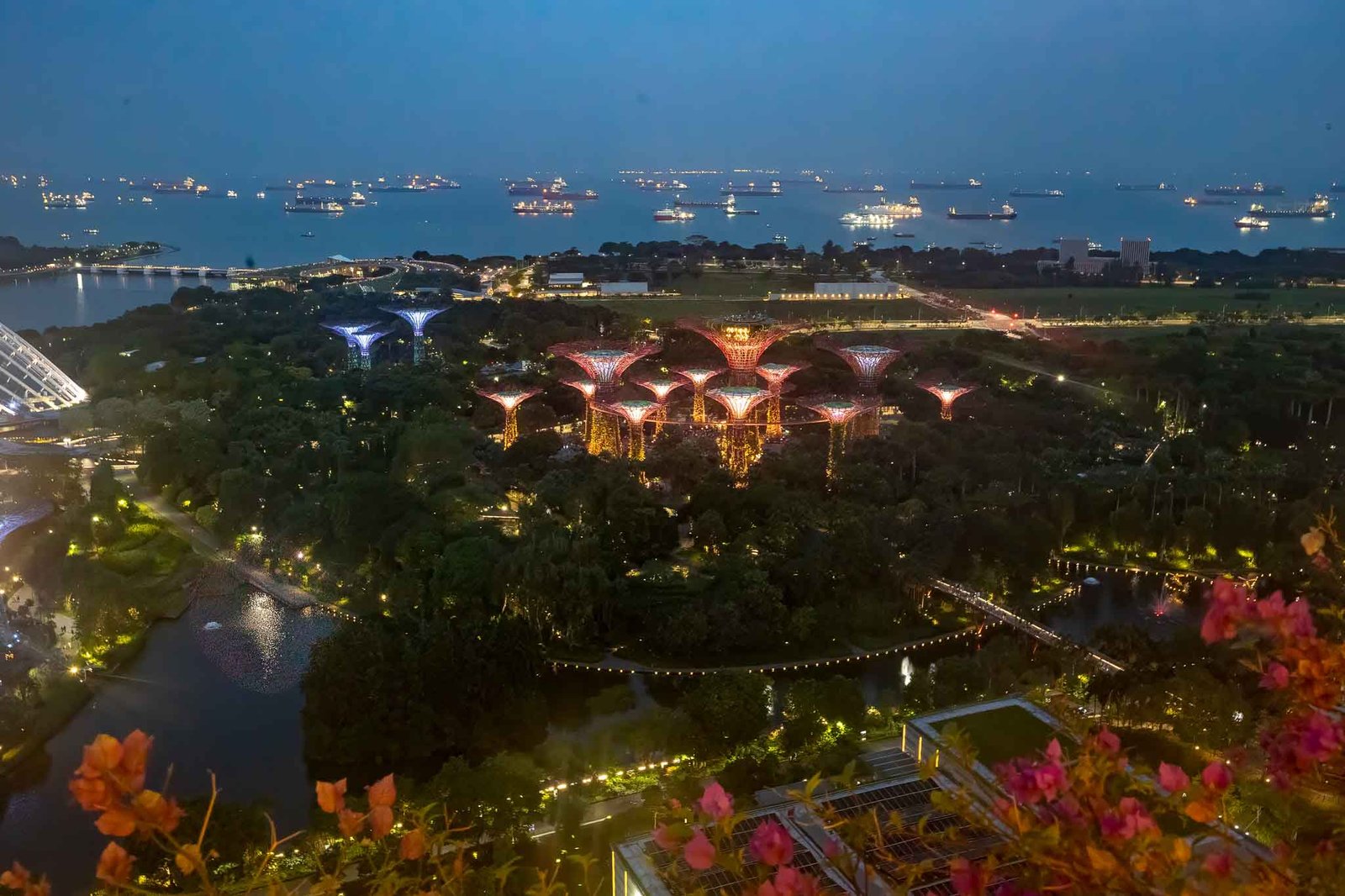 Light show at Gardens by the bay from our room