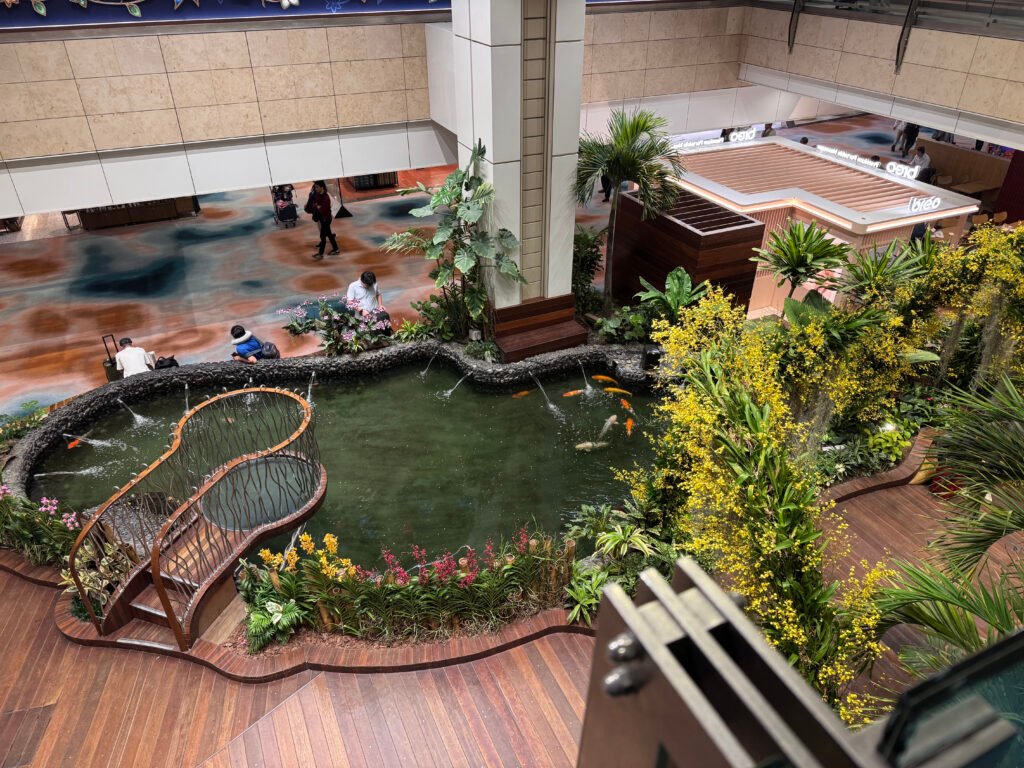 View of an indoor Koi pond in terminal 2