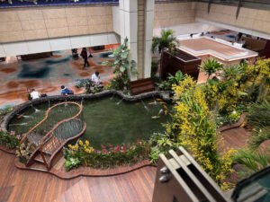 View of an indoor Koi pond in terminal 2