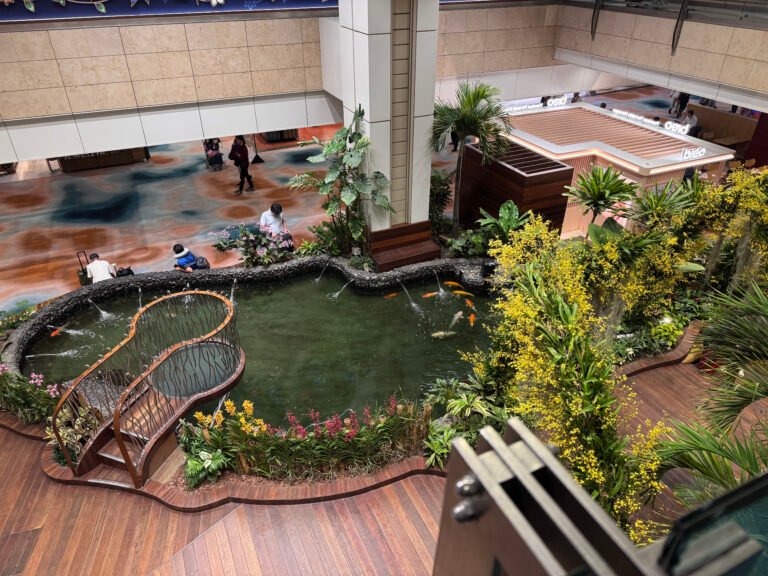 View of an indoor Koi pond in terminal 2