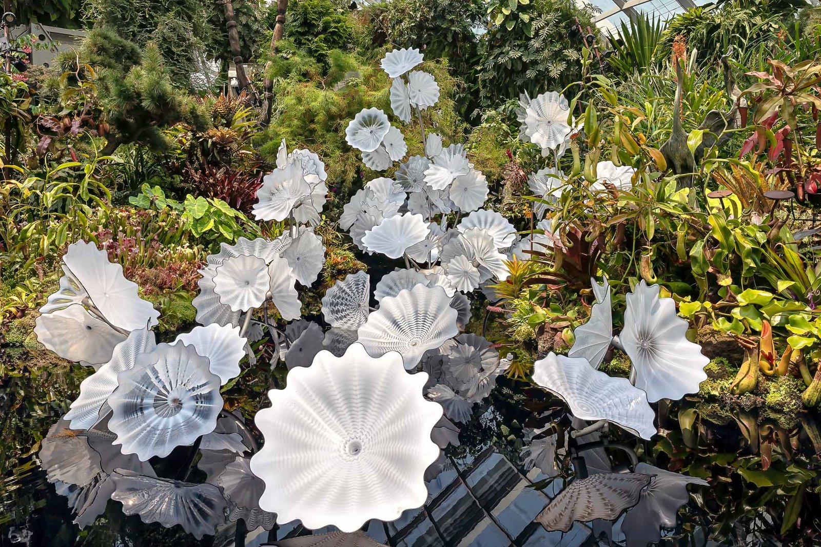 Dale Chihuly installation