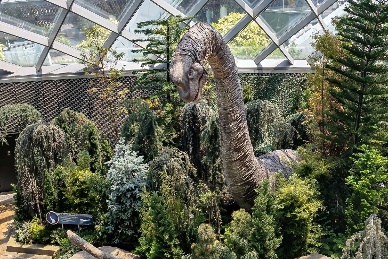 Dinasaurs
