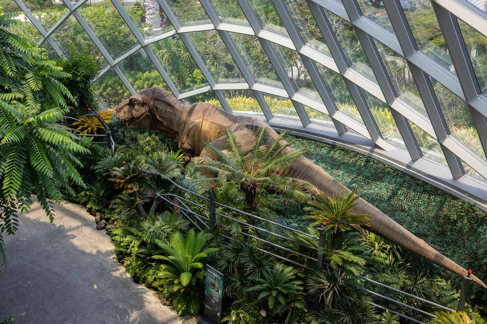 T-rex