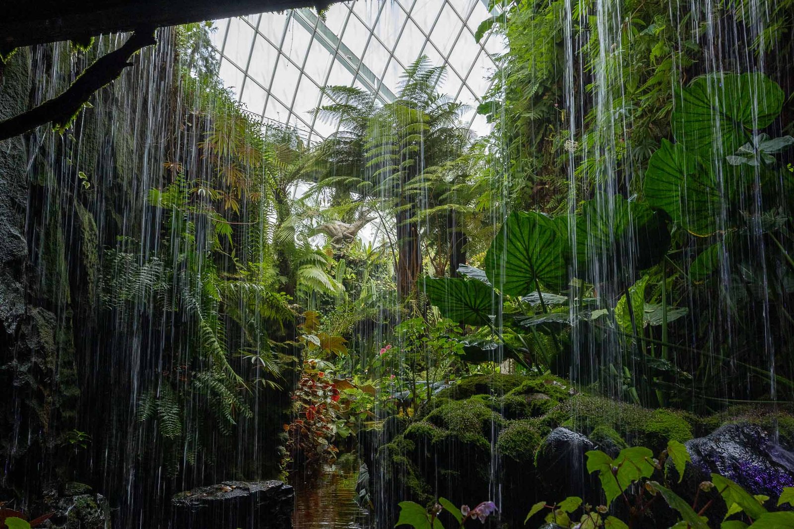 looking through the bottomof the waterfall