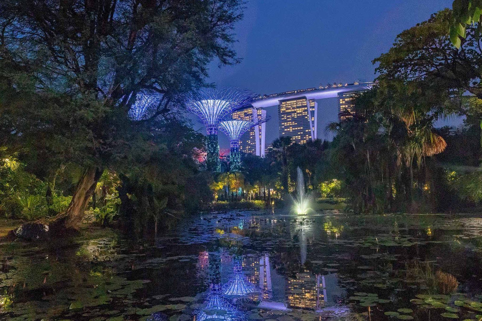 Gorgeous view of the towers and Marina Bay sands from the gardens