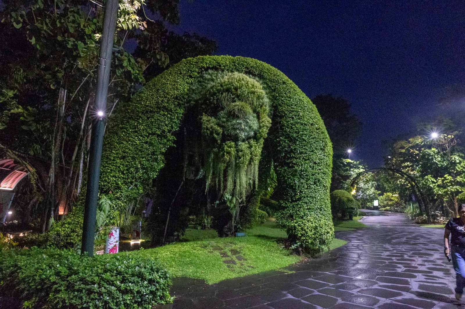 Gorilla Topiary
