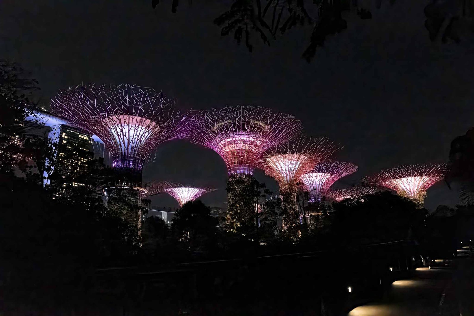 Light show