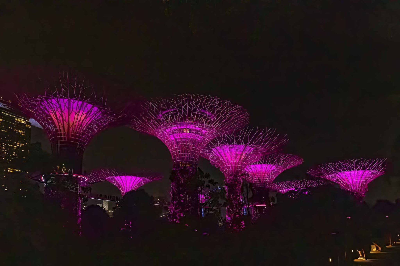 Light show