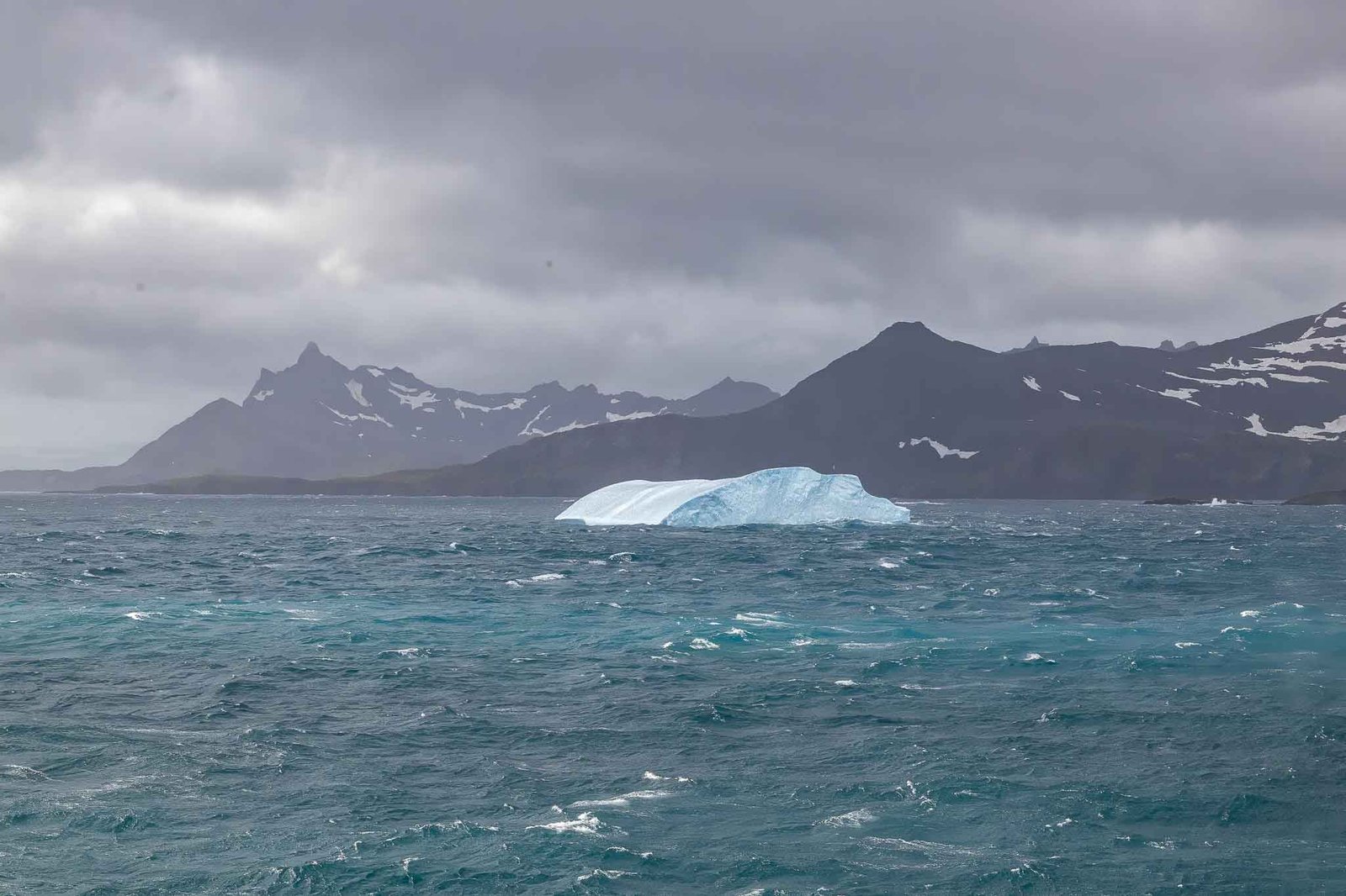 small Islets and Icebergs off South Georgia