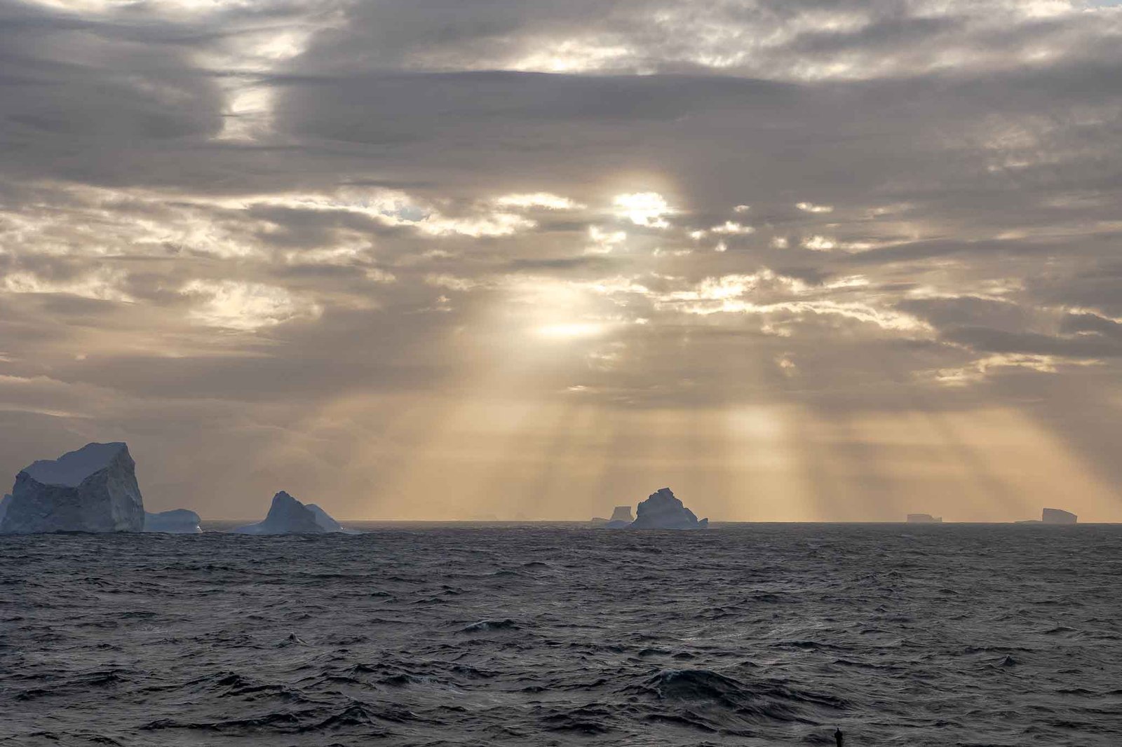all Islets and Icebergs off South Georgia
