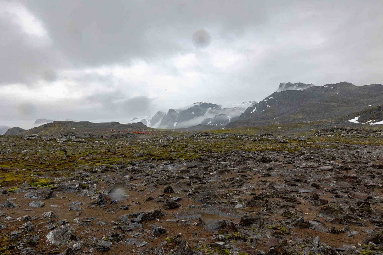 Views on Signy Island