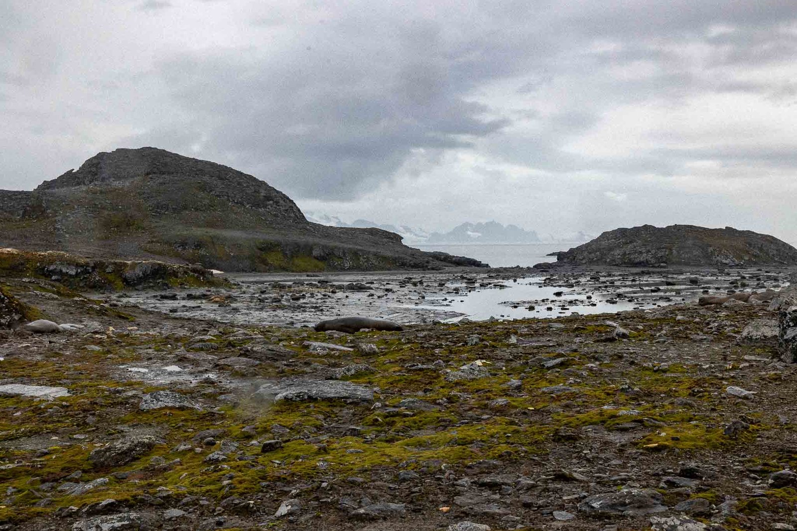 Views on Signy Island