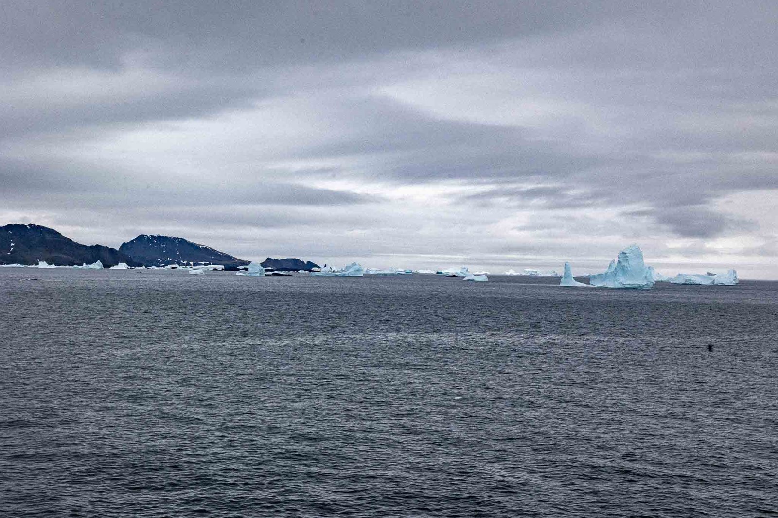 Approaching Signy Island
