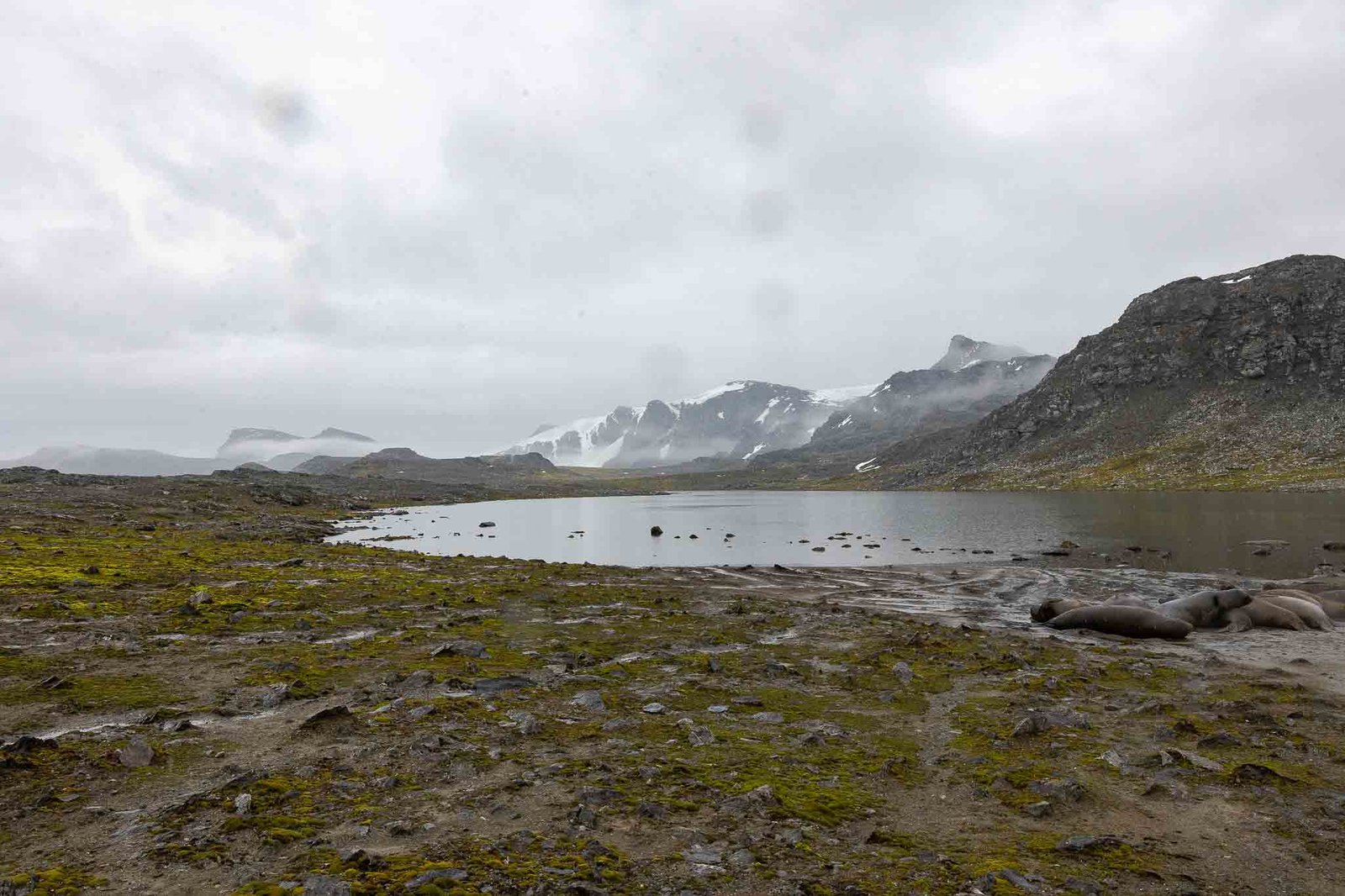 Views from Signy Island