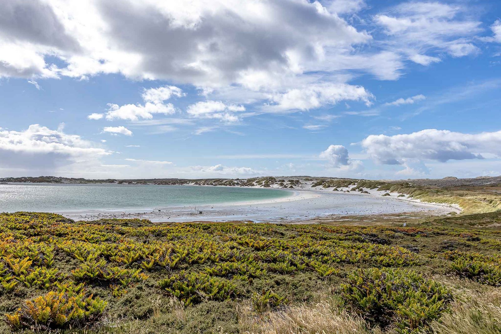 Gypsy Cove