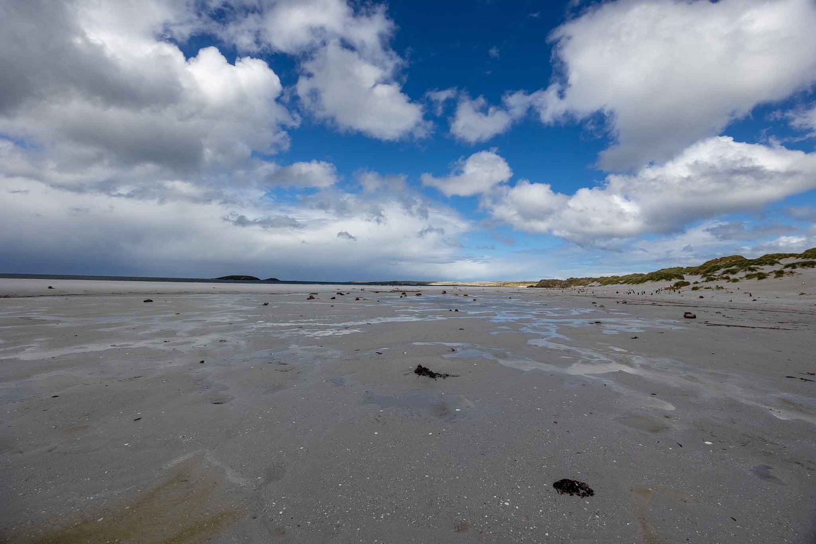 Yorke Bay