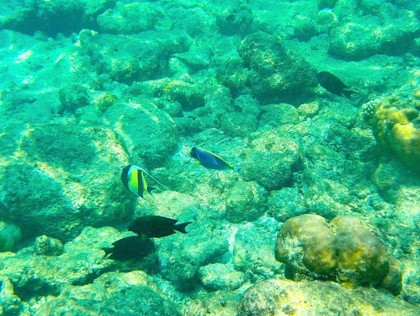 Photos from our snorkel