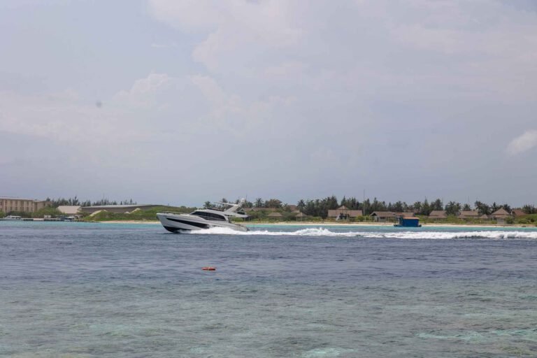 View from the island