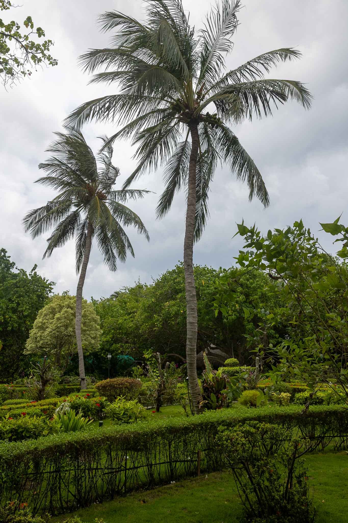Gardens