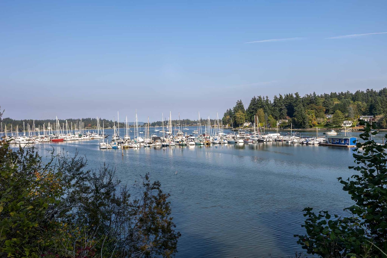Quartermaster Harbor
