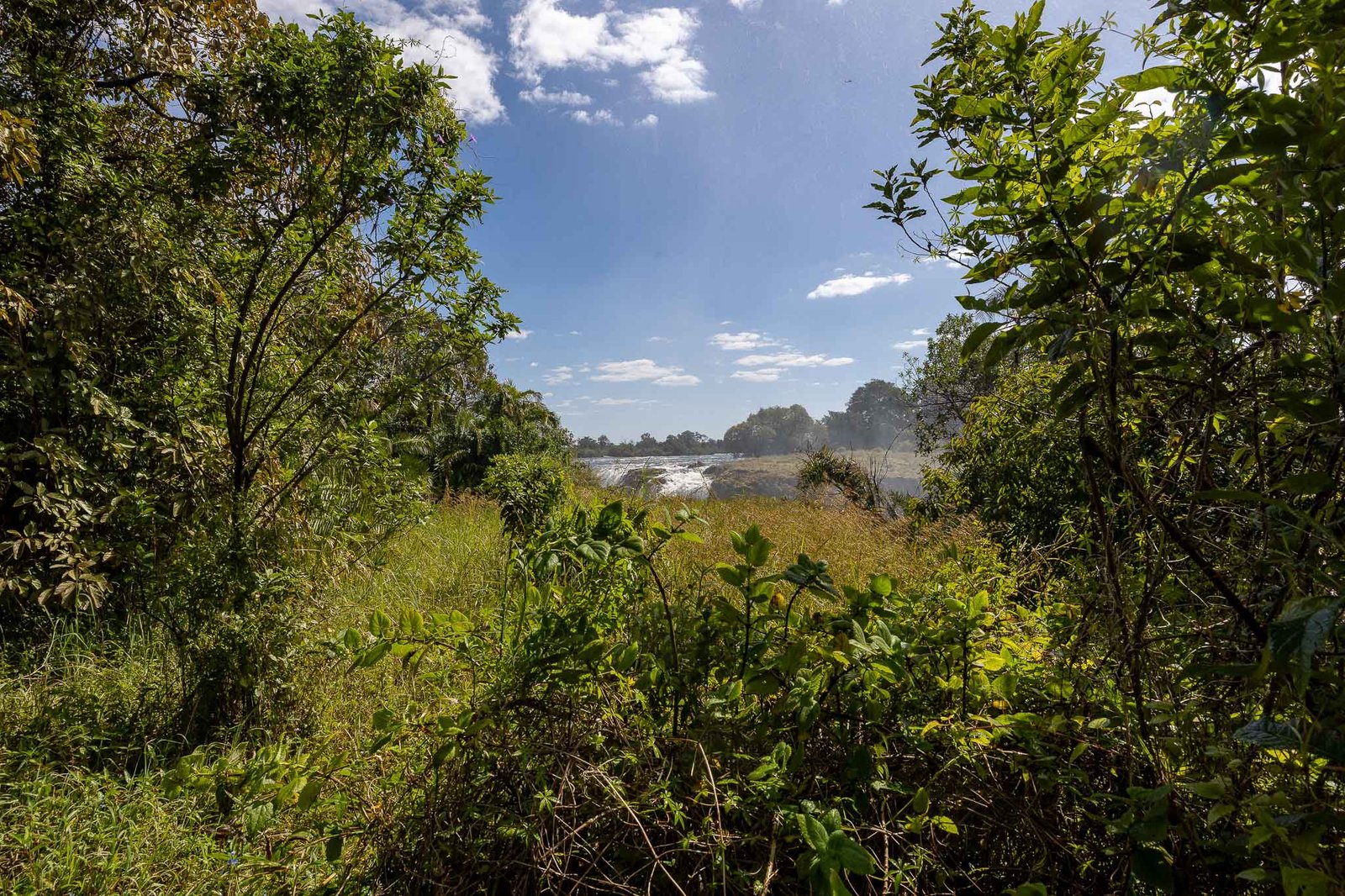 Victoria Falls