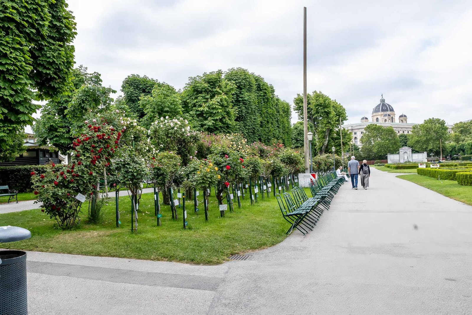 Rose garden in the city center