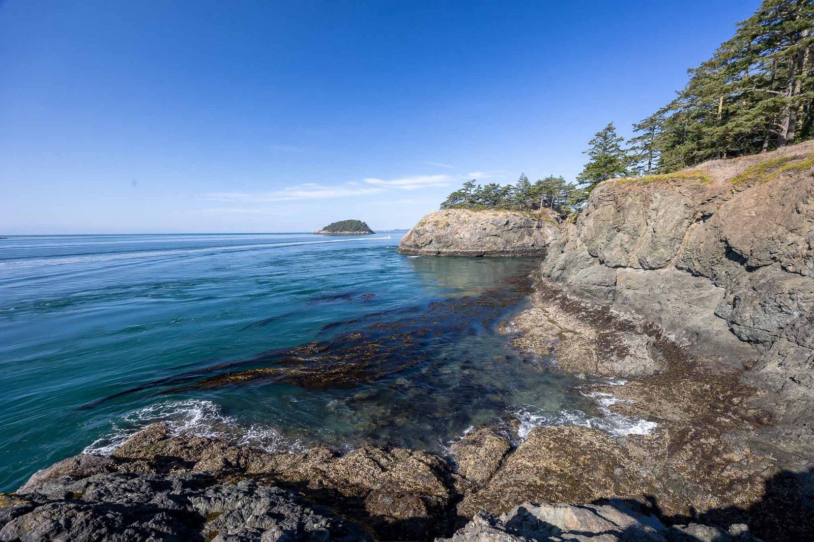 Views from the Lottie Point Loop trail
