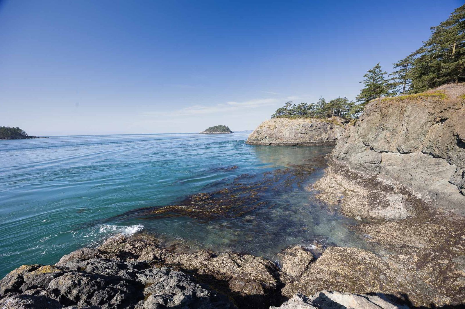 Views from the Lottie Point Loop trail