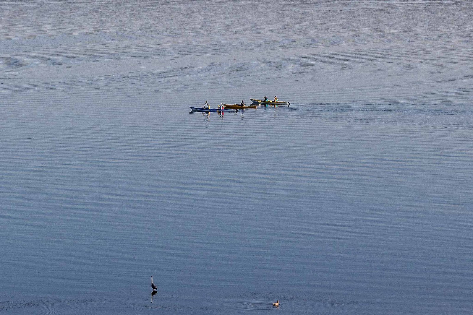 Kayakers from our Balcony